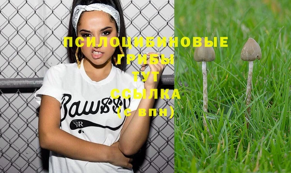 стафф Вязники