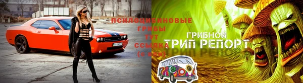 прущие крисы Горнозаводск